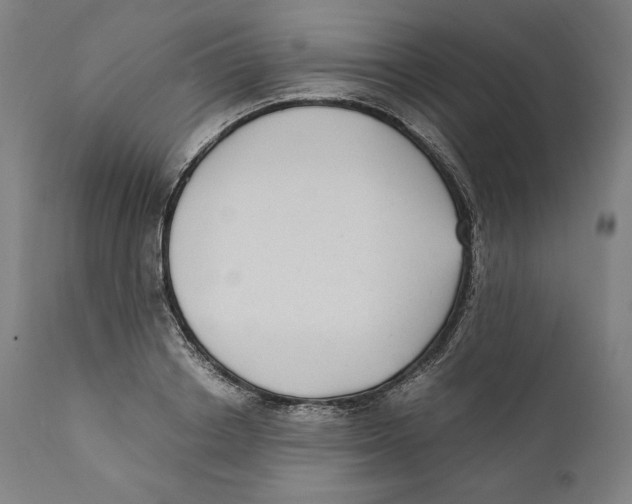 X0000110710842200907101242