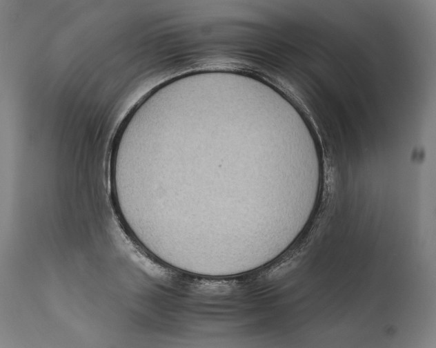X0000110710843200907101242