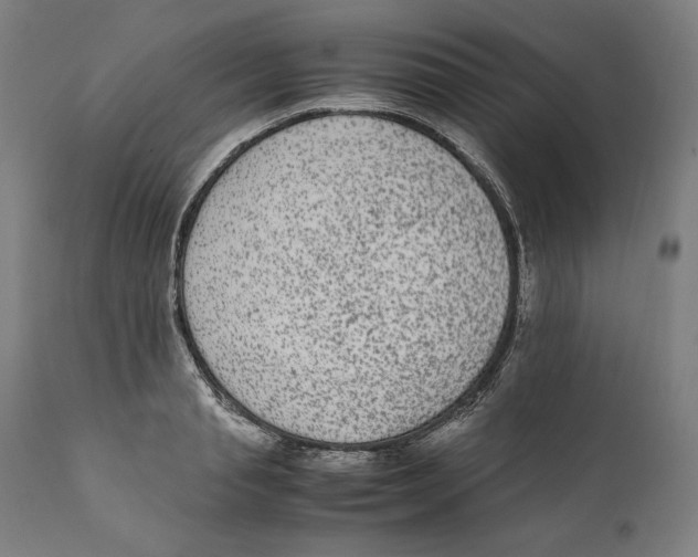 X0000110710845200907101242