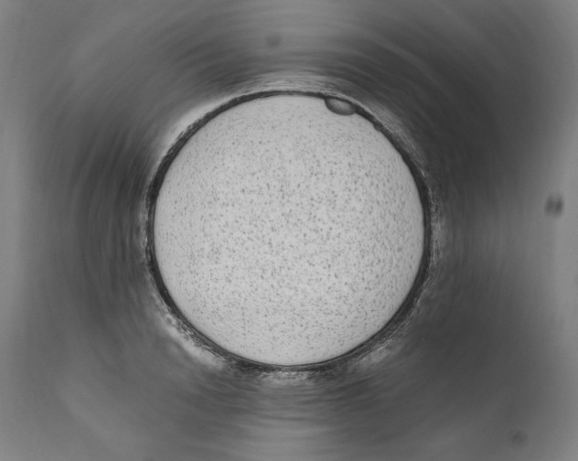 X0000110710846200907101242