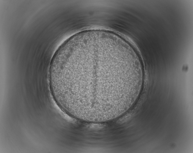X0000110710847200907101242