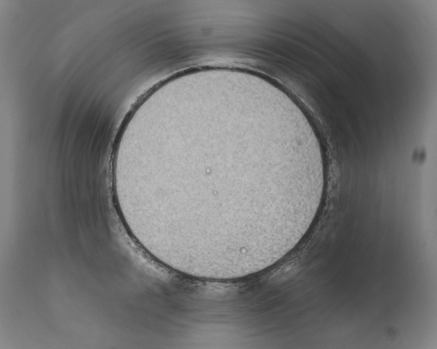 X0000110710848200907101242