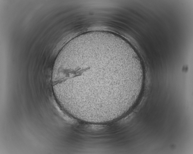 X0000110710849200907101242