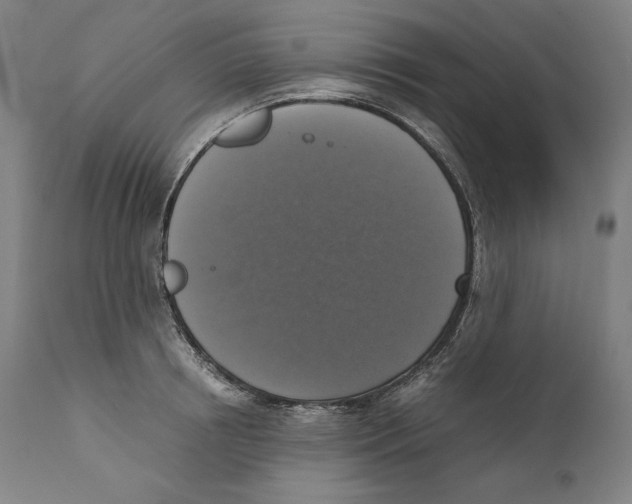X0000110710850200907101242