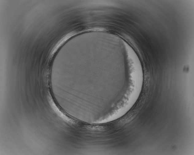 X0000110710851200907101242