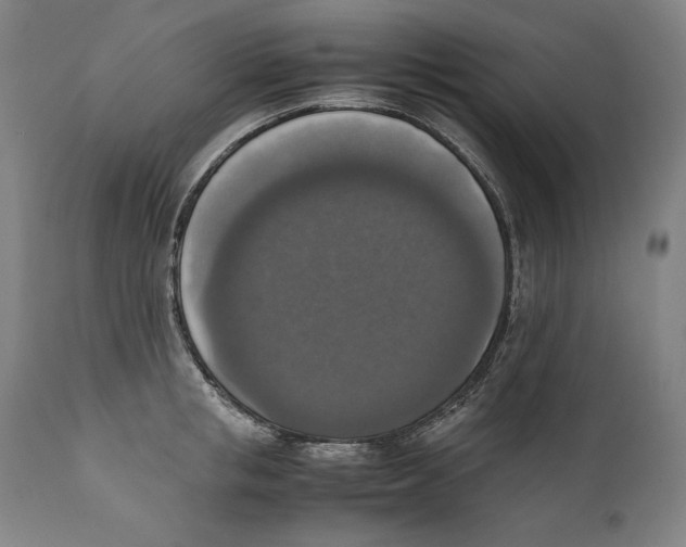 X0000110710853200907101242