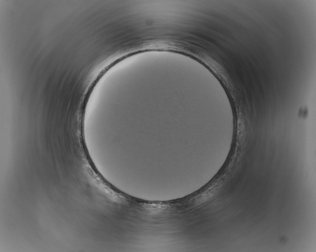 X0000110710854200907101242