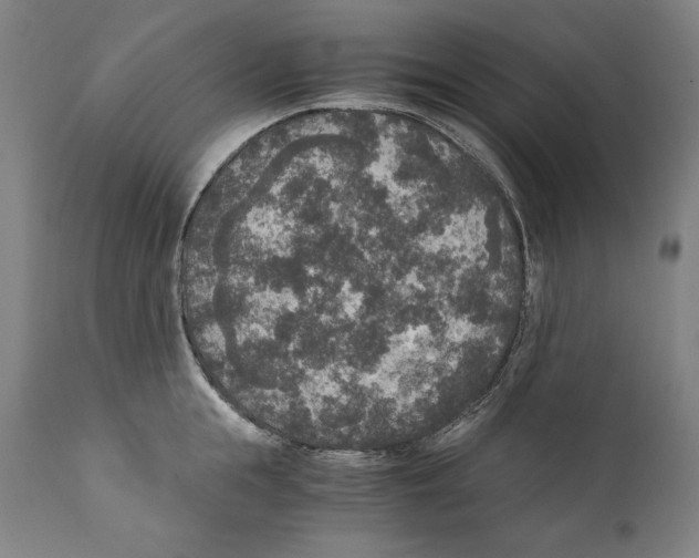 X0000110710855200907101242