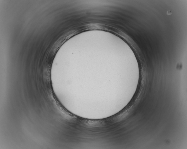 X0000110710857200907101242