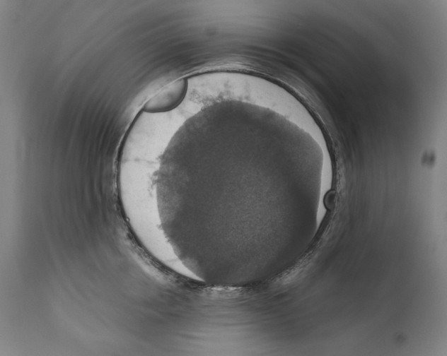 X0000110710858200907101242