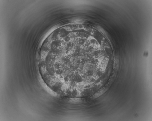 X0000110710859200907101242