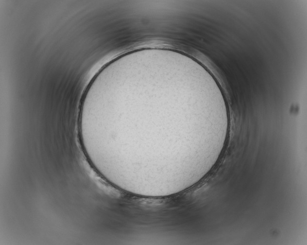 X0000110710861200907101242
