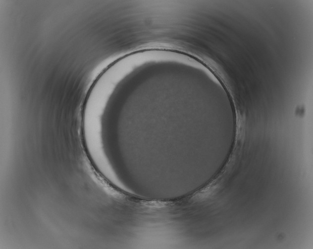 X0000110710862200907101242