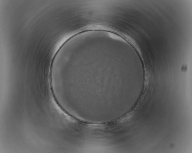 X0000110710863200907101242