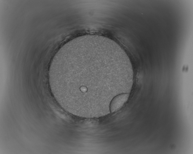 X0000110710865200907101242