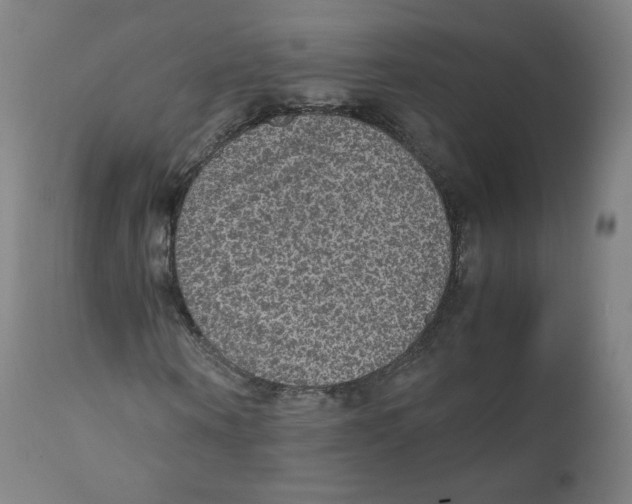 X0000110710866200907101242