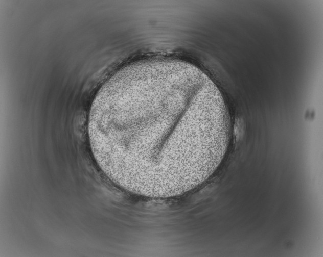X0000110710867200907101242
