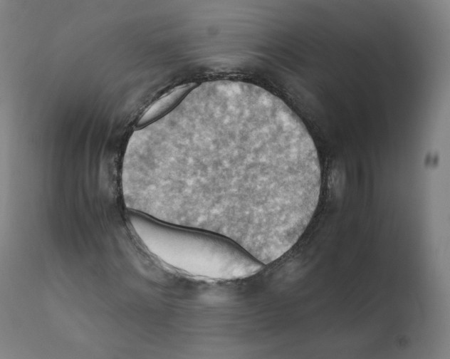 X0000110710868200907101242