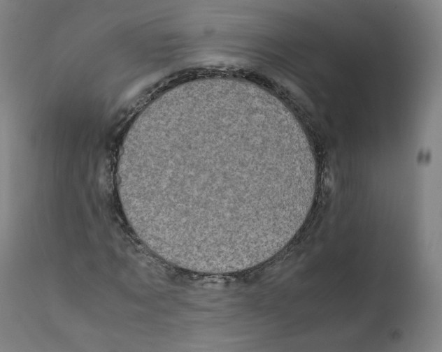 X0000110710869200907101242