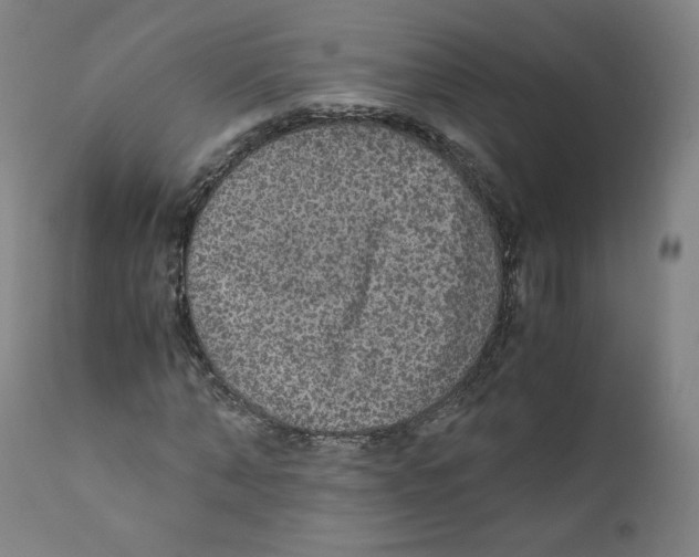 X0000110710870200907101242