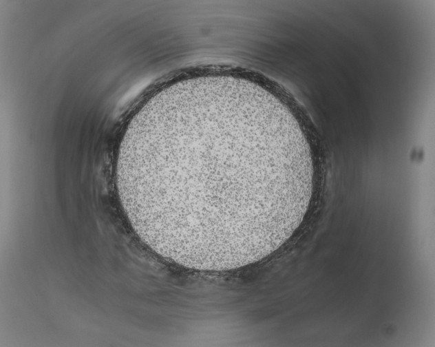 X0000110710871200907101242