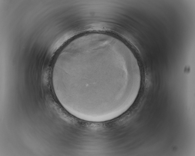 X0000110710874200907101241