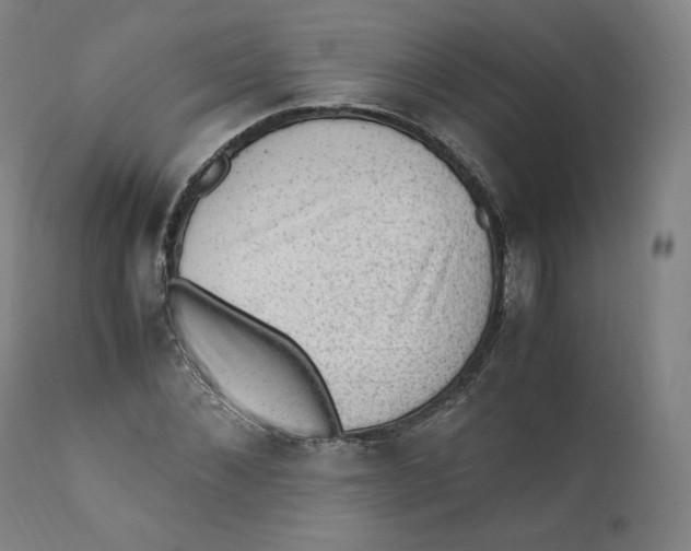 X0000110710876200907101241