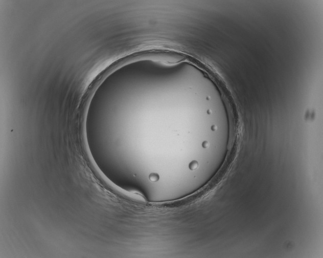 X0000110710877200907101241