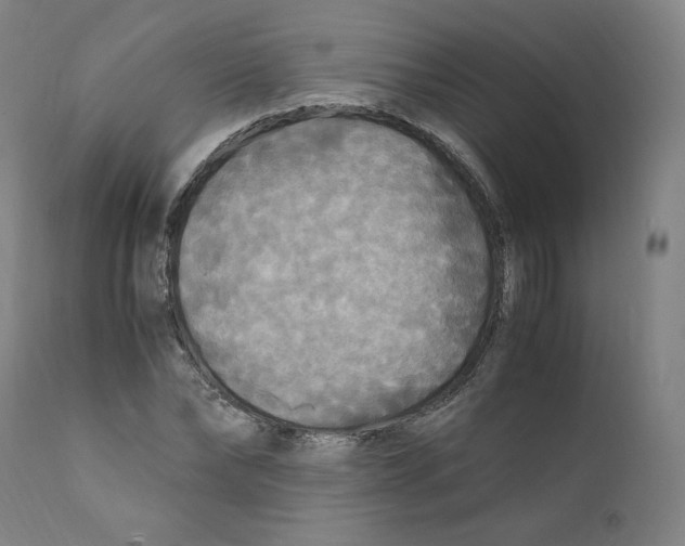 X0000110710878200907101241