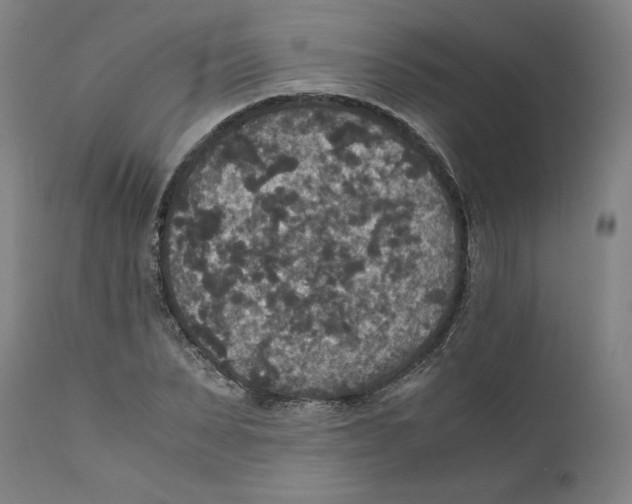 X0000110710879200907101241
