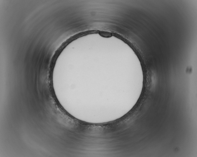 X0000110710880200907101241