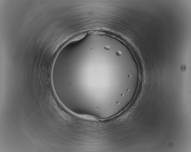 X0000110710881200907101241