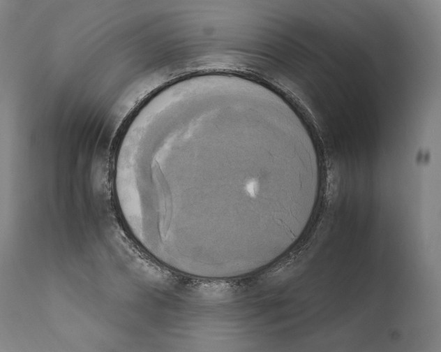 X0000110710882200907101241