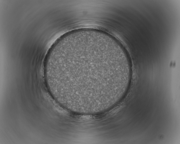 X0000110710883200907101241