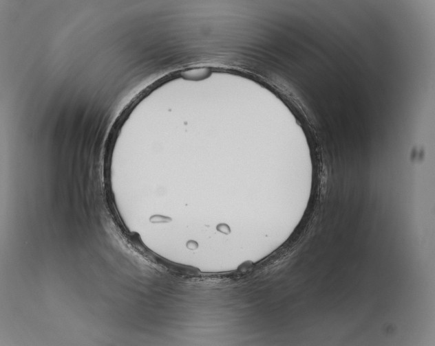 X0000110710884200907101241