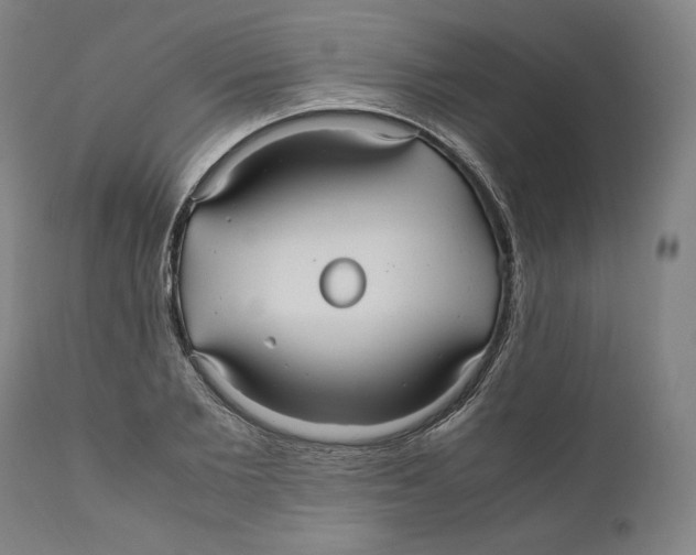 X0000110710885200907101241