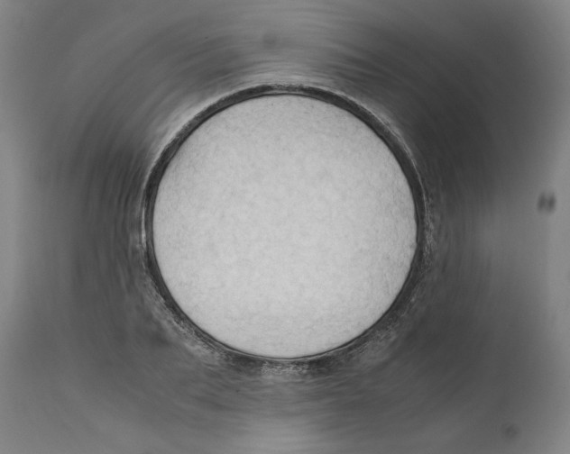 X0000110710887200907101241