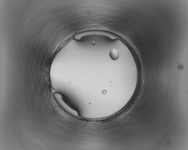 X0000110710889200907101241