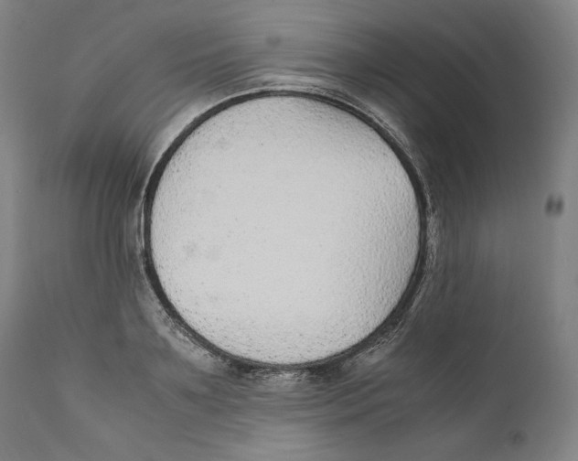X0000110710891200907101241