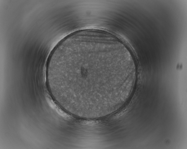 X0000110710892200907101241