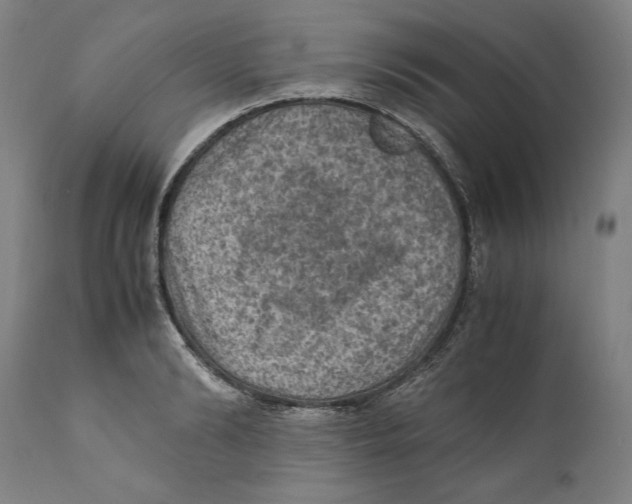 X0000110710894200907101241