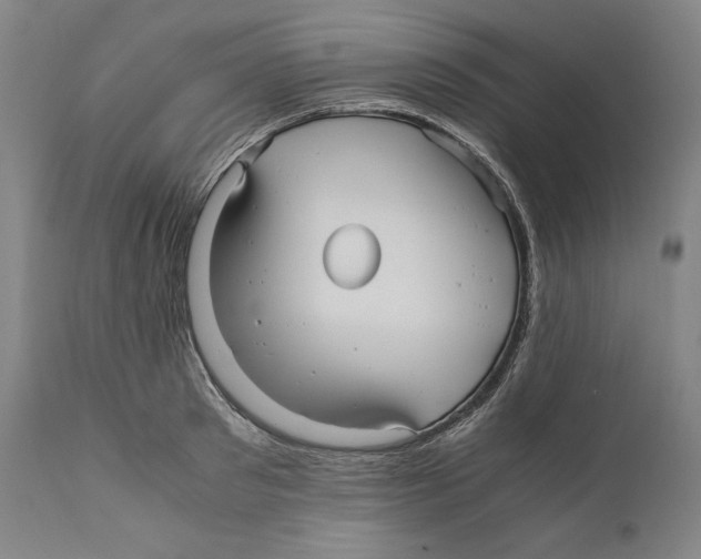 X0000110710897200907101241