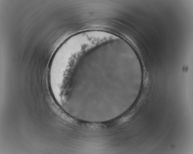 X0000110710899200907101241
