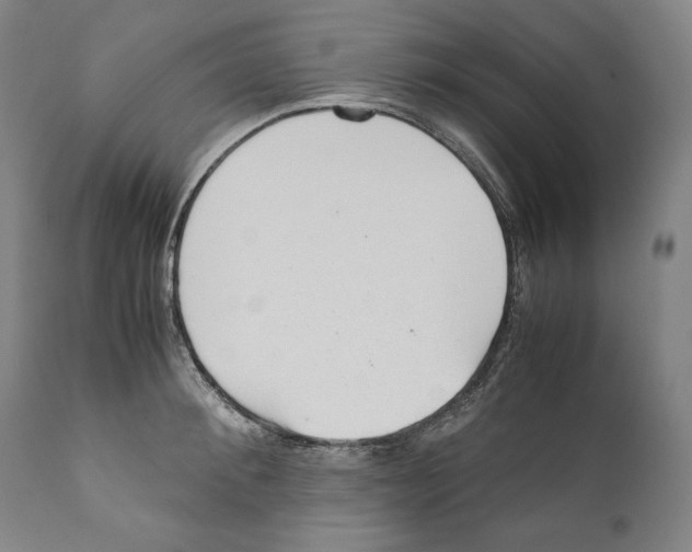X0000110710900200907101241