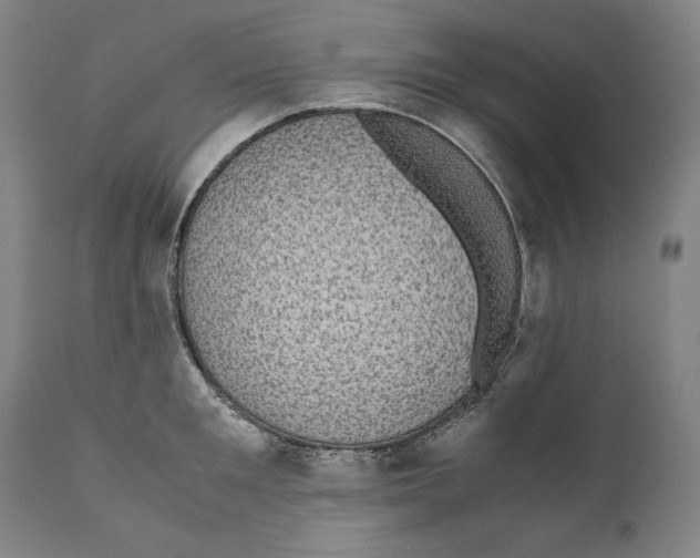 X0000110710901200907101241