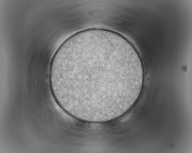X0000110710903200907101241