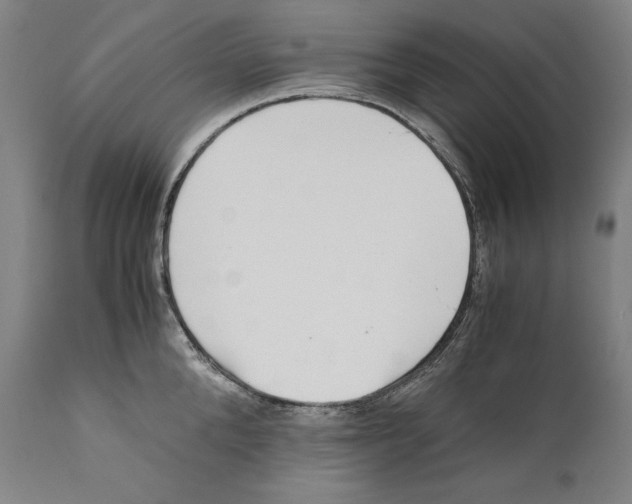 X0000110710904200907101241