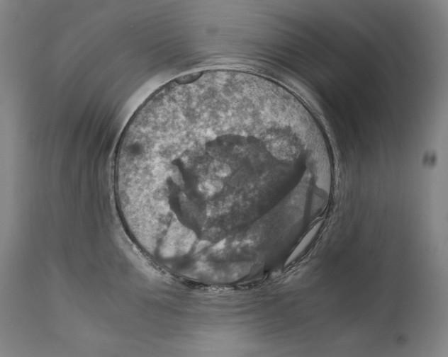 X0000110710907200907101241