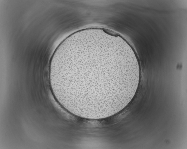 X0000110710911200907101241