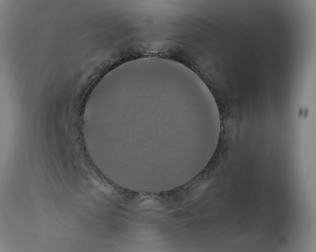 X0000110710913200907101240
